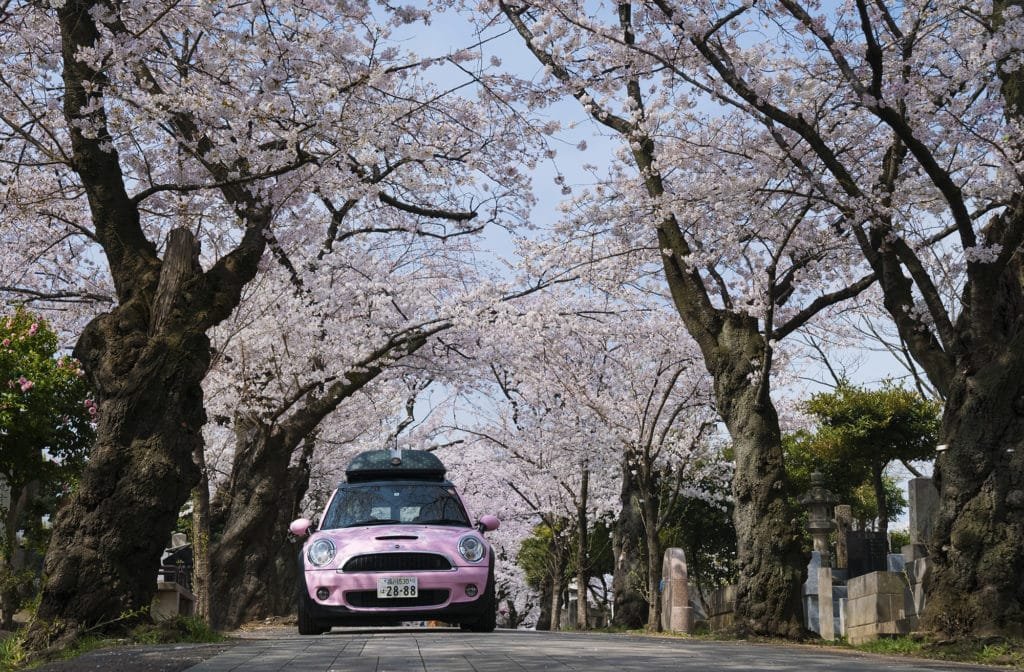 The Peninsula Tokyo celebra a temporada das cerejeiras no Japão