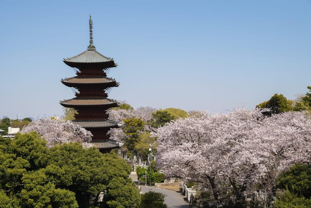 The Peninsula Tokyo celebra a temporada das cerejeiras no Japão